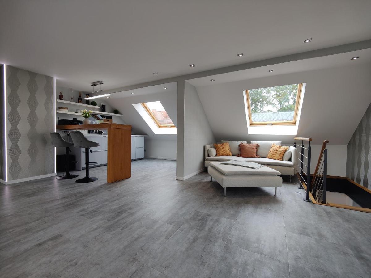 Ferienhaus Villa Adelsberg Mit Dachterrasse In Zentraler Lage Fuer Bis Zu 10 Personen Chemnitz Zewnętrze zdjęcie